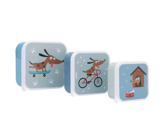 3 Lunchboxen für Skater-Hunde