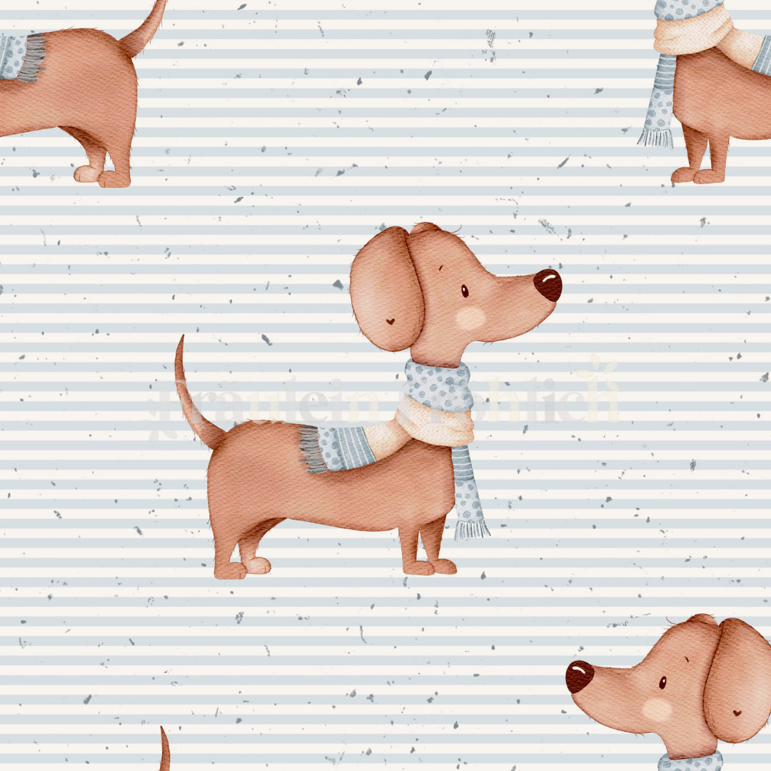 French Terry Dackel Herbert