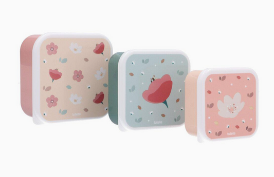 Lunchbox Little Garden