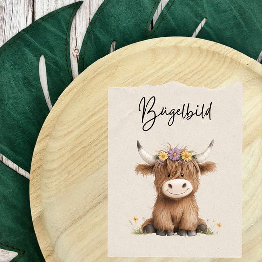 Bügelbild Hochlandrind